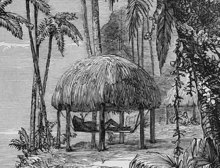 Detail Origin Of The Word Hammock Nomer 34