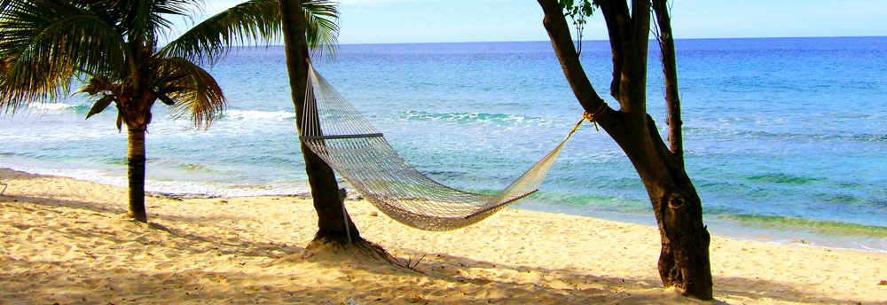 Detail Origin Of The Word Hammock Nomer 35