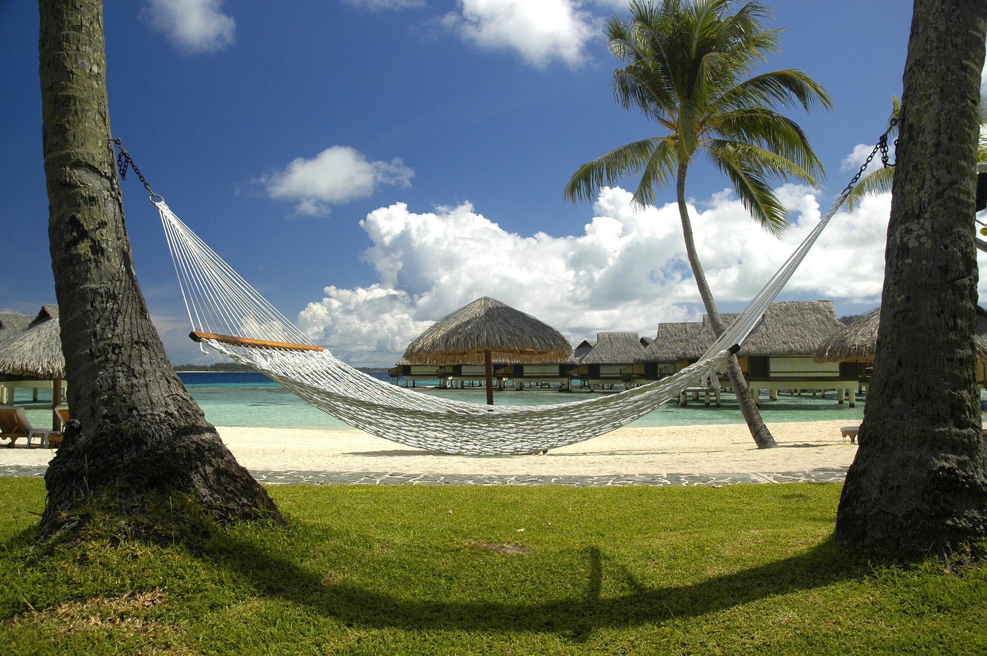 Detail Origin Of The Word Hammock Nomer 42