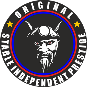 Detail Logo Persib Viking Nomer 22