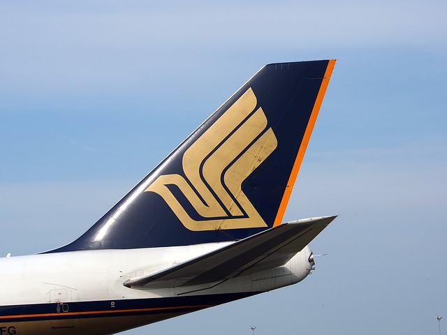 Detail Logo Perusahaan Penerbangan Indonesia Nomer 24