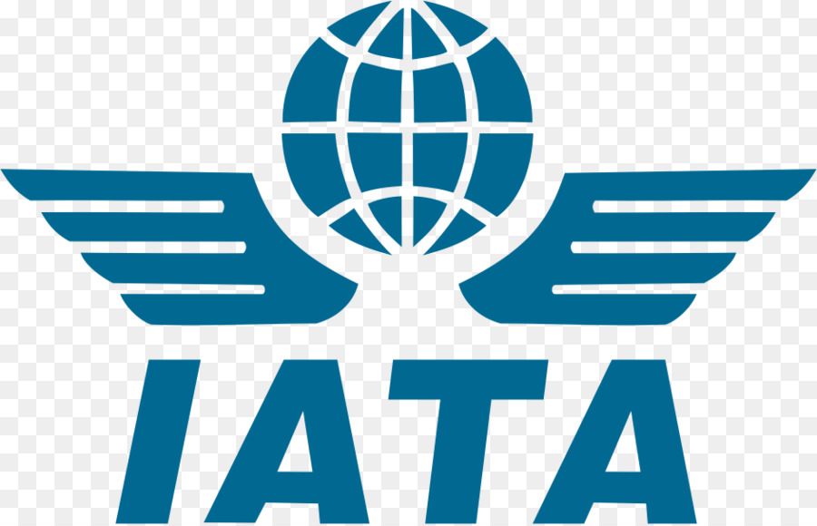 Detail Logo Perusahaan Penerbangan Internasional Nomer 34