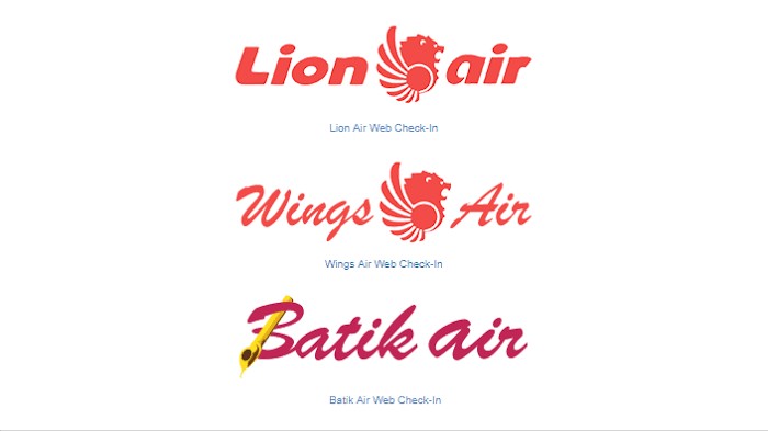 Detail Logo Pesawat Batik Air Nomer 17