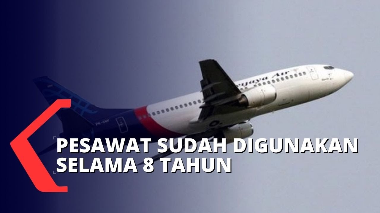 Detail Logo Pesawat Sriwijaya Air Nomer 49