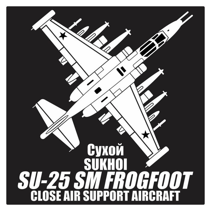 Detail Logo Pesawat Sukhoi Nomer 38