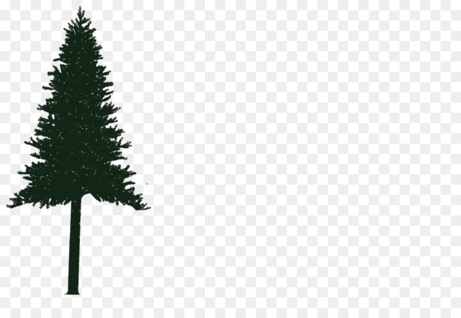 Detail Logo Pohon Cemara Nomer 12