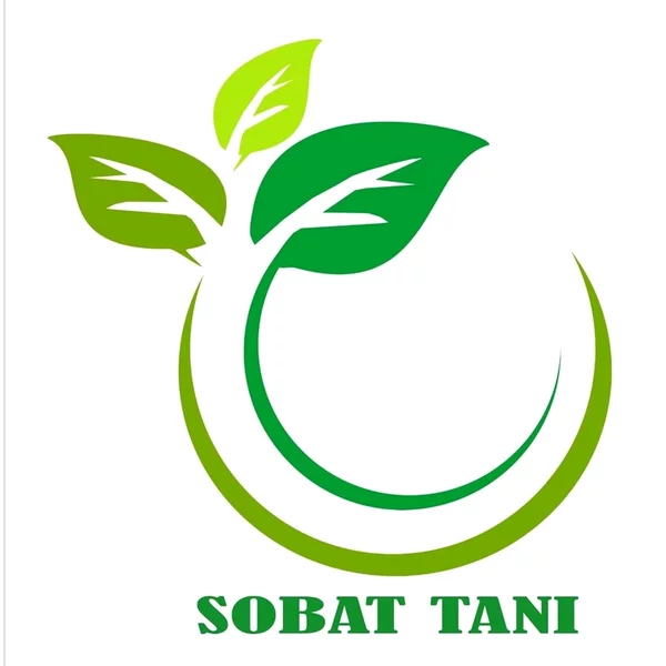 Detail Logo Pohon Pisang Nomer 15