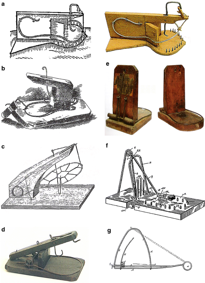 Detail Original Mouse Trap Patent Nomer 16