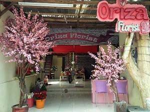 Detail Oriza Florist Surabaya Nomer 21