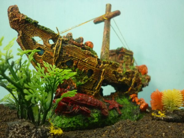 Detail Ornamen Aquarium Nomer 19