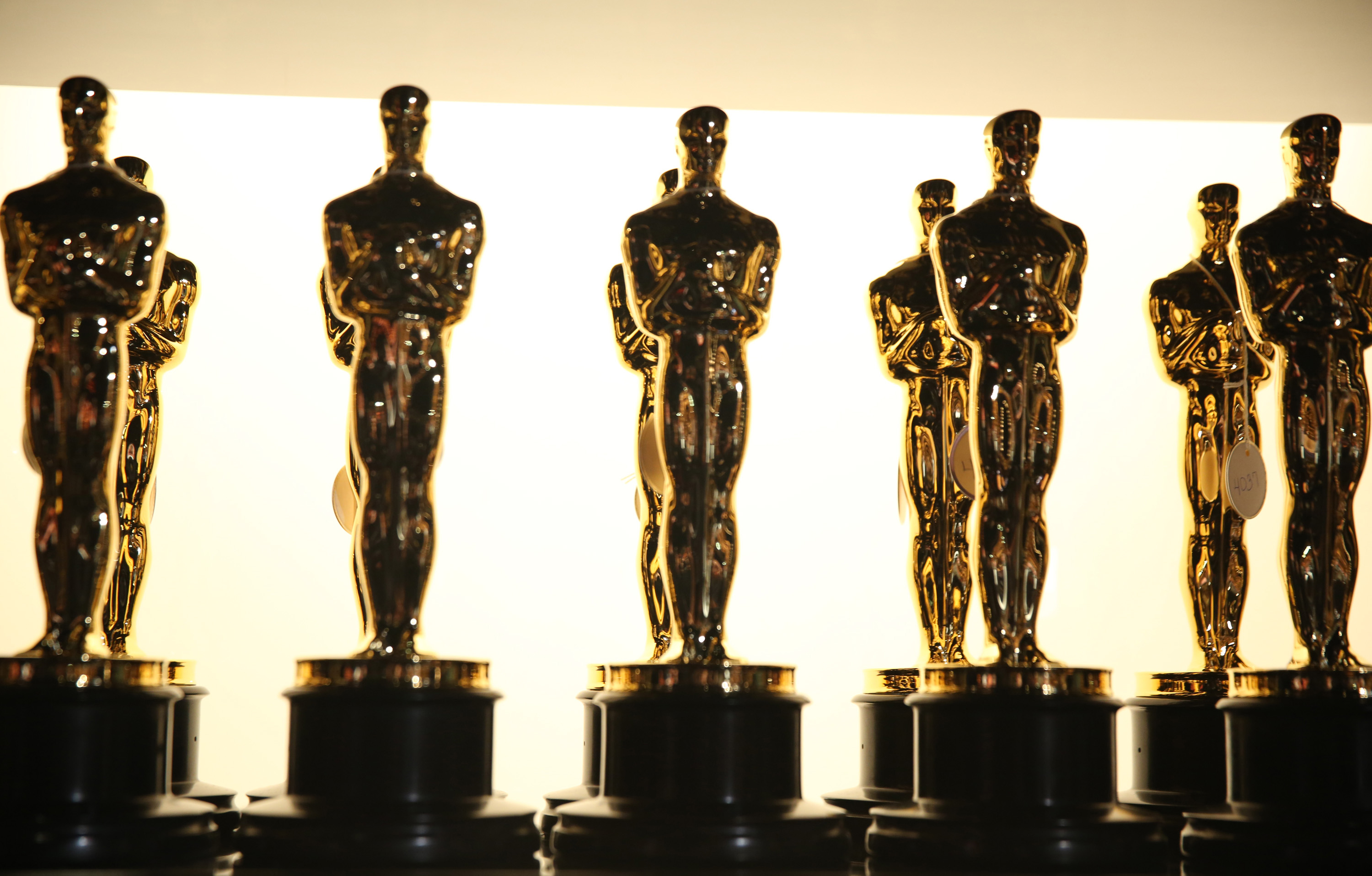 Detail Oscar Award Trophy Picture Nomer 35