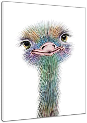 Detail Ostrich Bird Image Nomer 45