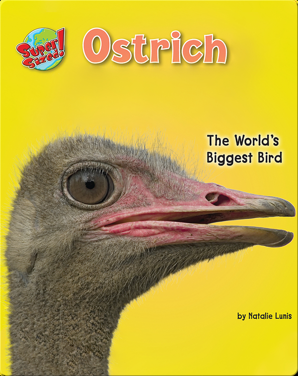 Detail Ostrich Bird Images Nomer 21