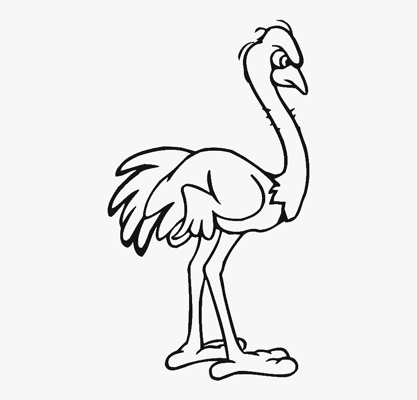 Detail Ostrich Clipart Black And White Nomer 12