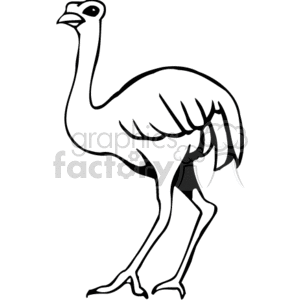 Detail Ostrich Clipart Black And White Nomer 15