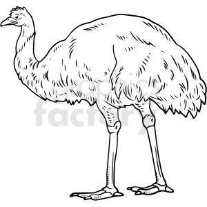 Detail Ostrich Clipart Black And White Nomer 16