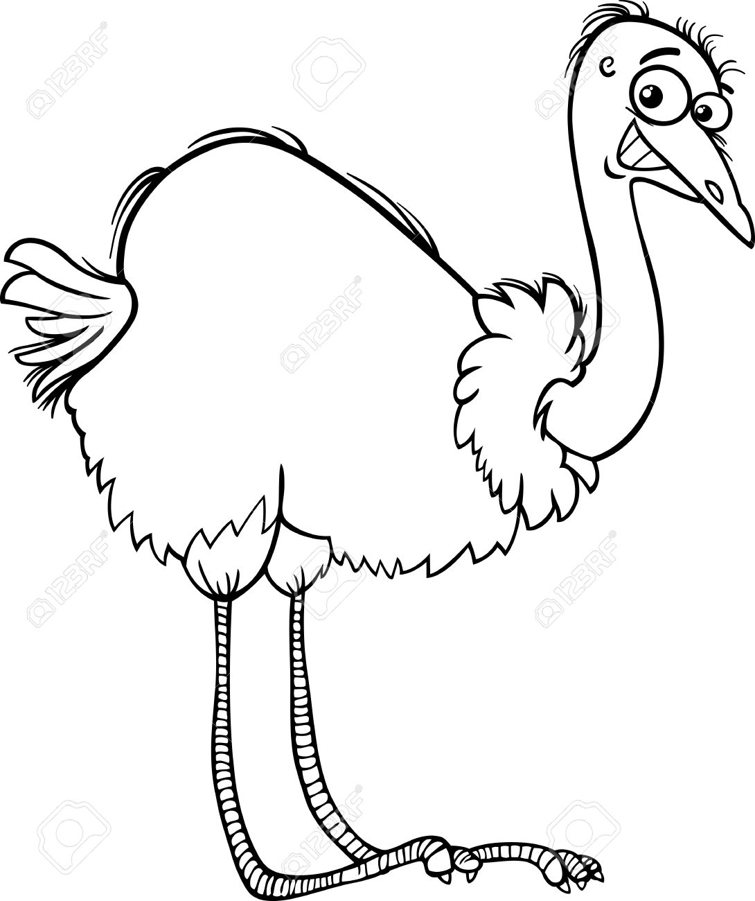 Detail Ostrich Clipart Black And White Nomer 23