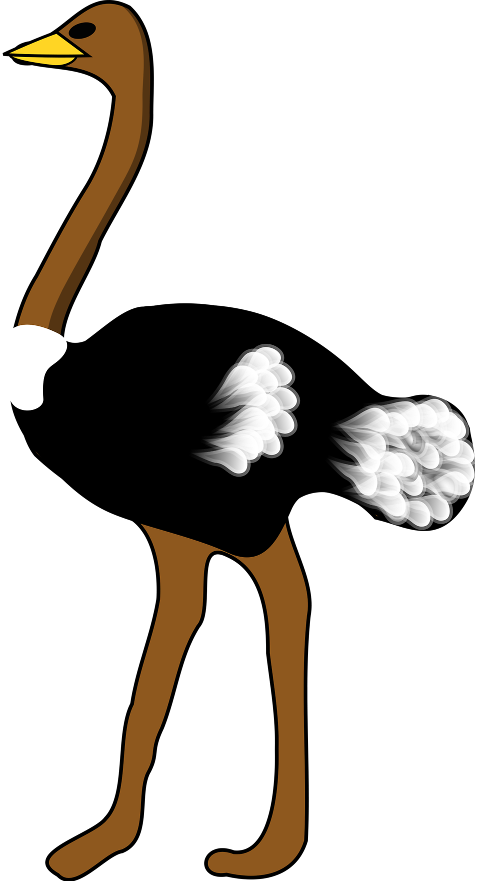 Detail Ostrich Clipart Black And White Nomer 34