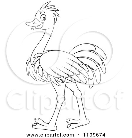 Detail Ostrich Clipart Black And White Nomer 43