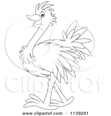 Detail Ostrich Clipart Black And White Nomer 44