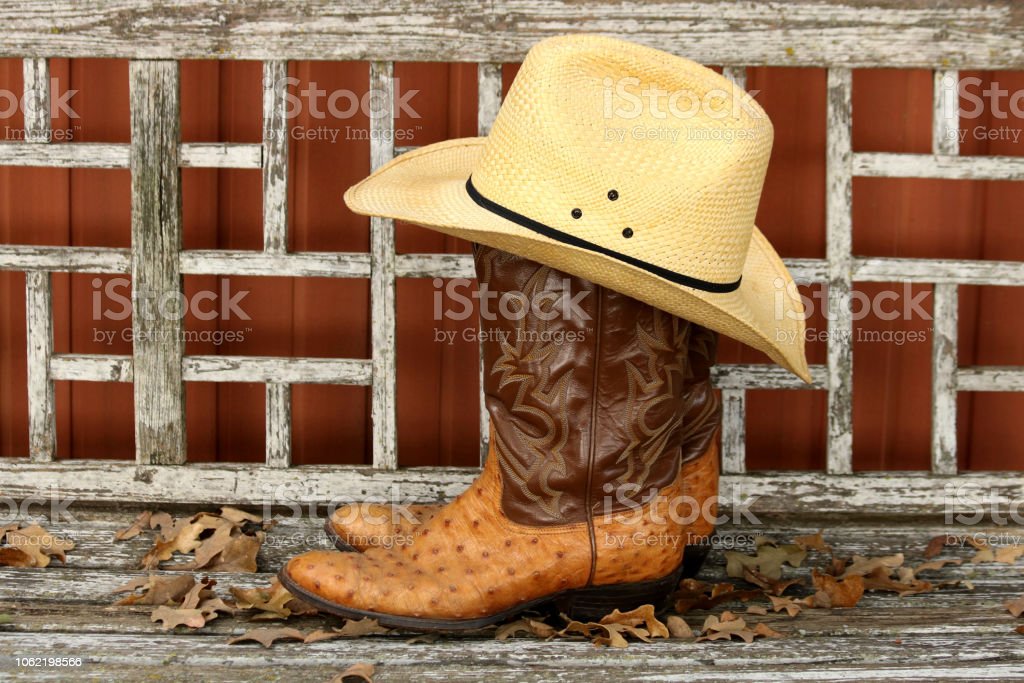 Detail Ostrich Cowboy Hat Nomer 14