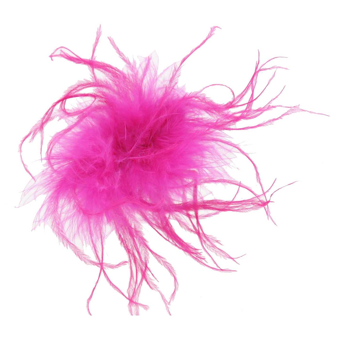 Detail Ostrich Feather Hair Clip Nomer 20