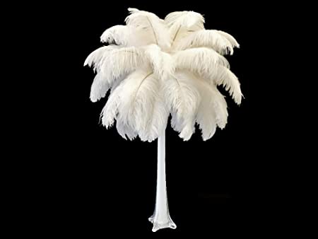 Detail Ostrich Feather Palm Trees Nomer 10