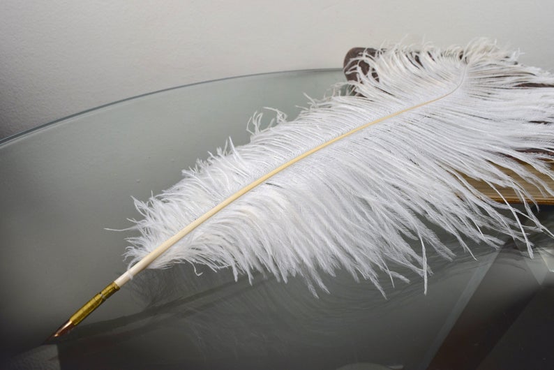 Detail Ostrich Feather Pen Nomer 3