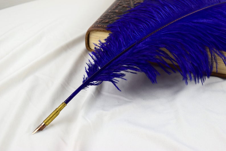 Detail Ostrich Feather Pen Nomer 34