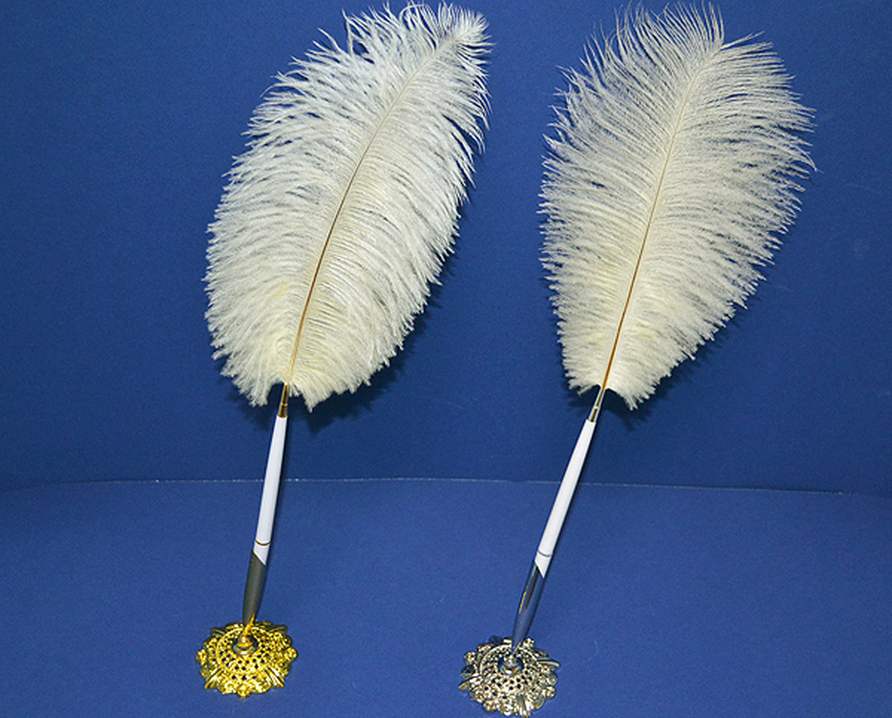 Detail Ostrich Feather Pen Nomer 41