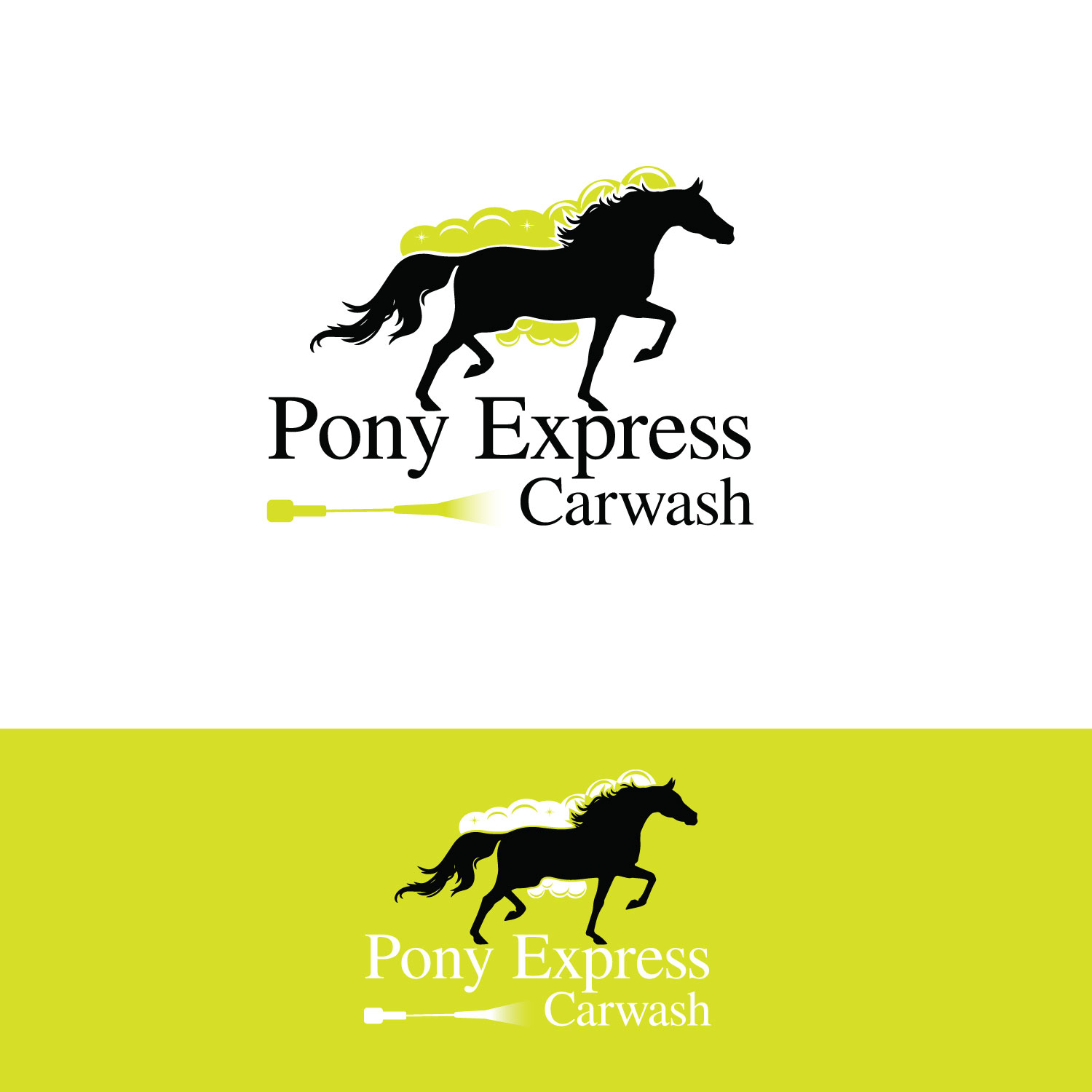 Detail Logo Pony Express Nomer 25
