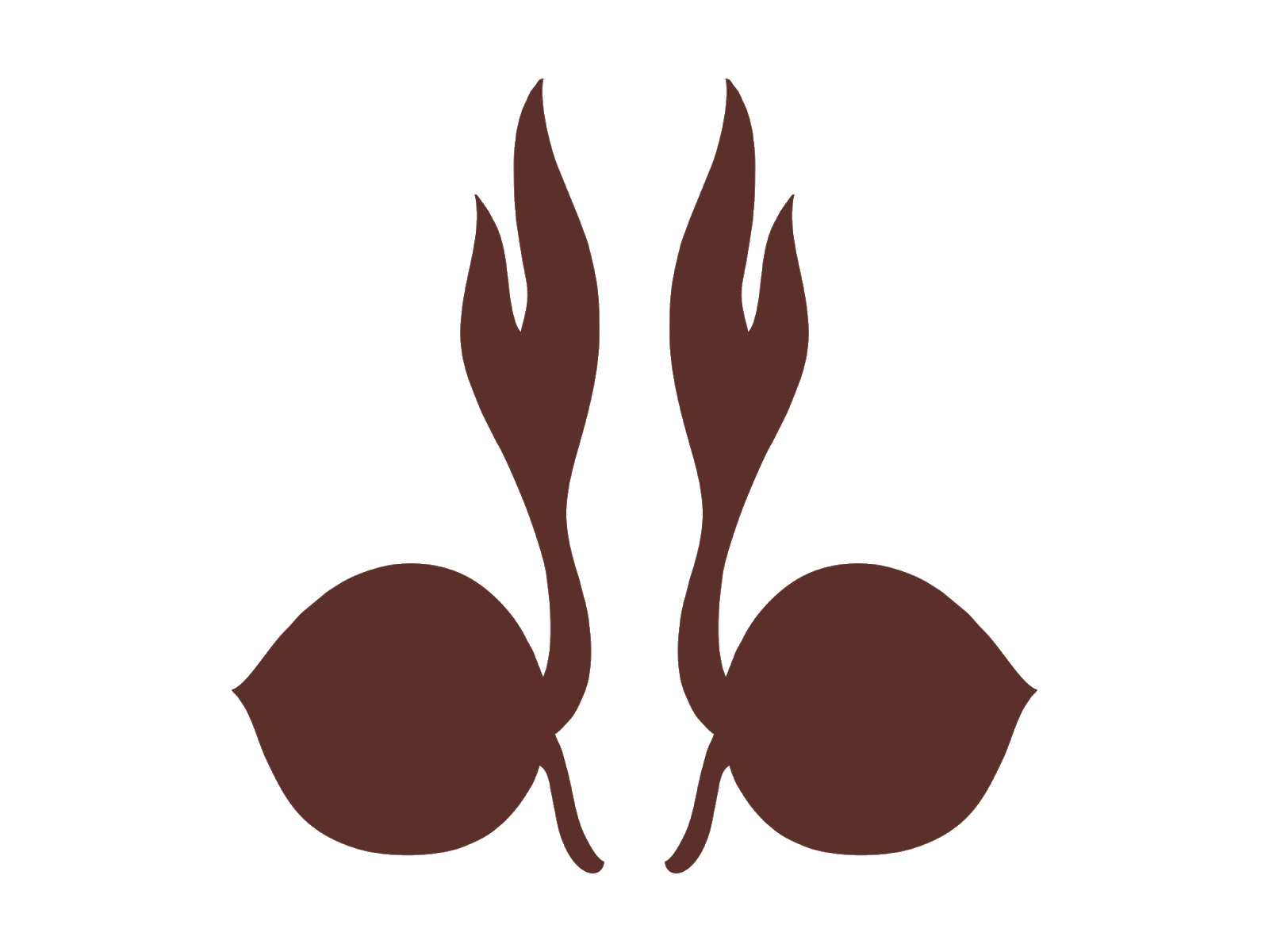 Detail Logo Pramuka Vector Nomer 16