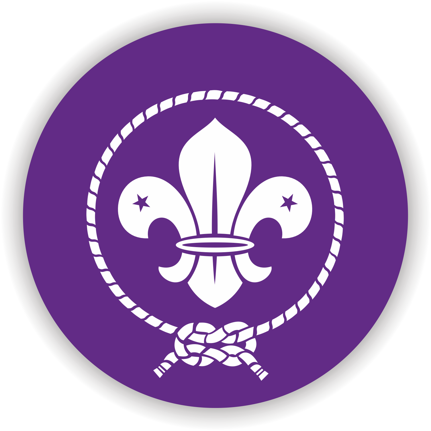 Detail Logo Pramuka Vector Nomer 3