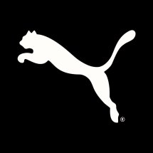 Detail Logo Puma Terbaru Nomer 12