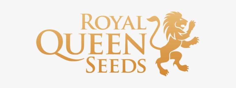 Detail Logo Queen Png Nomer 42