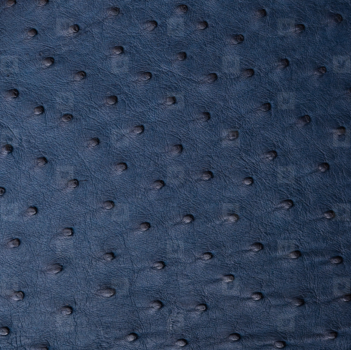 Detail Ostrich Skin Wallpaper Nomer 30