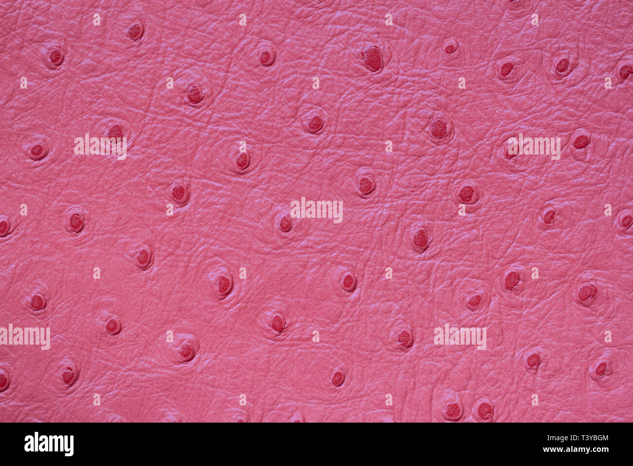 Detail Ostrich Skin Wallpaper Nomer 37