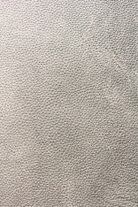 Detail Ostrich Skin Wallpaper Nomer 58