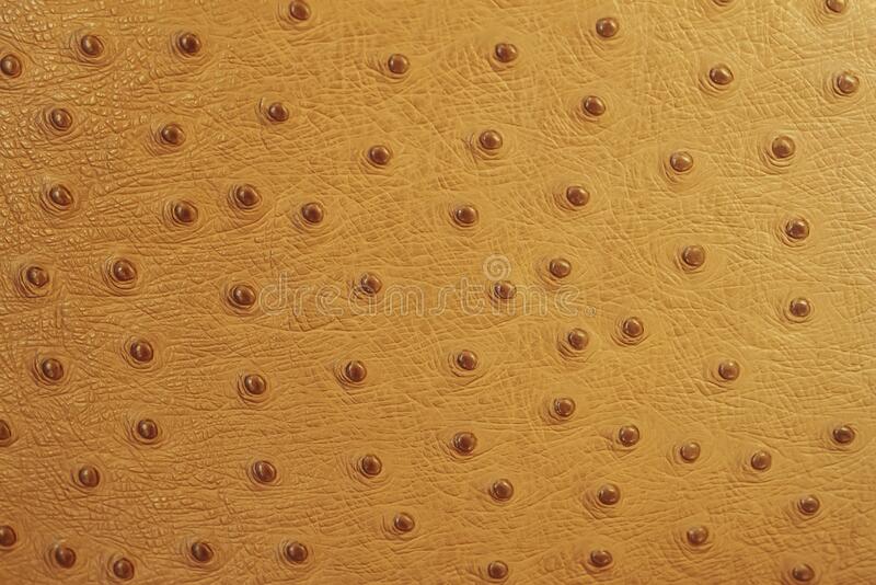 Detail Ostrich Skin Wallpaper Nomer 9