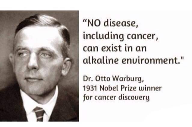 Detail Otto Warburg Quotes Nomer 3