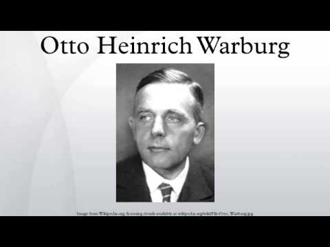 Detail Otto Warburg Quotes Nomer 44