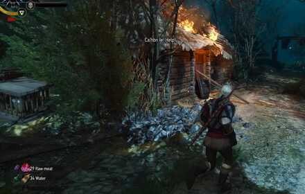 Detail Out Of The Frying Pan Into The Fire Witcher 3 Nomer 20