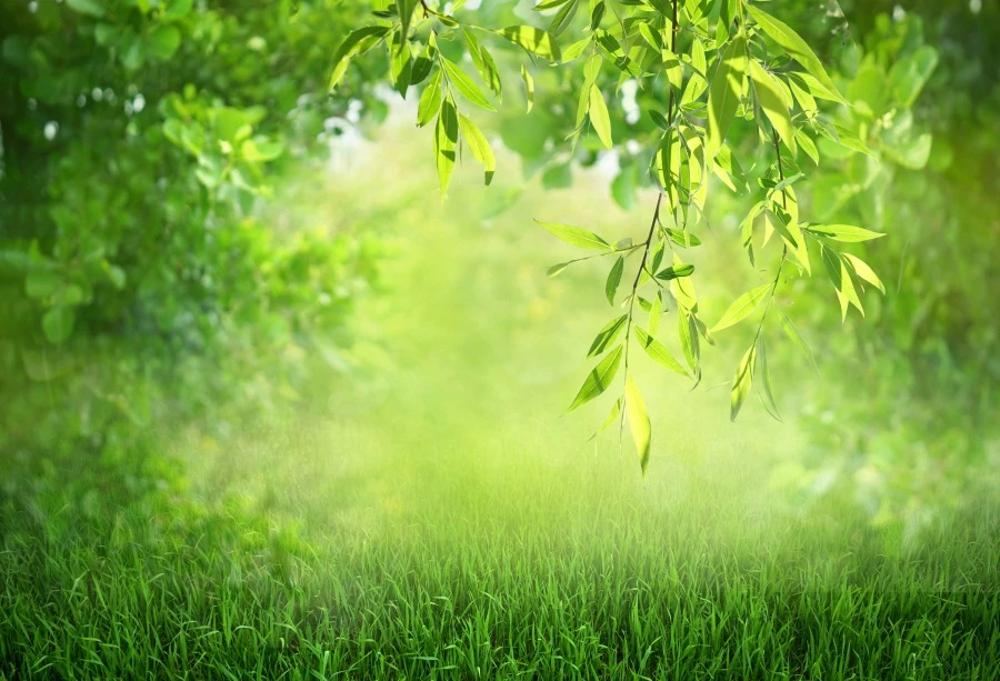 Detail Outdoor Background Nomer 33
