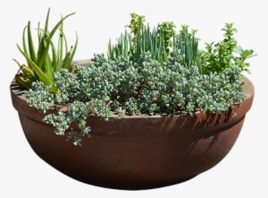 Detail Outdoor Planter Png Nomer 44