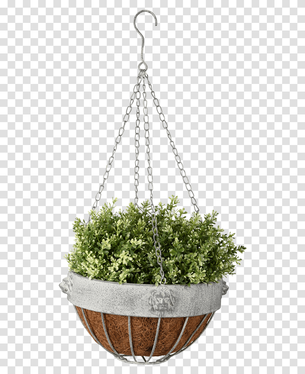 Detail Outdoor Planter Png Nomer 55