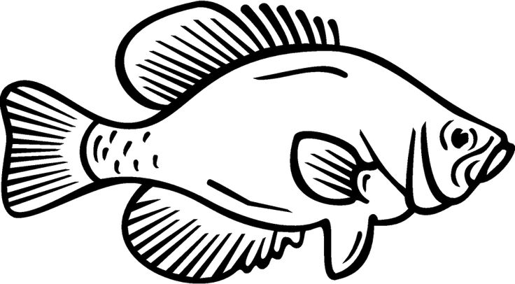 Detail Outline Gambar Ikan Nomer 19