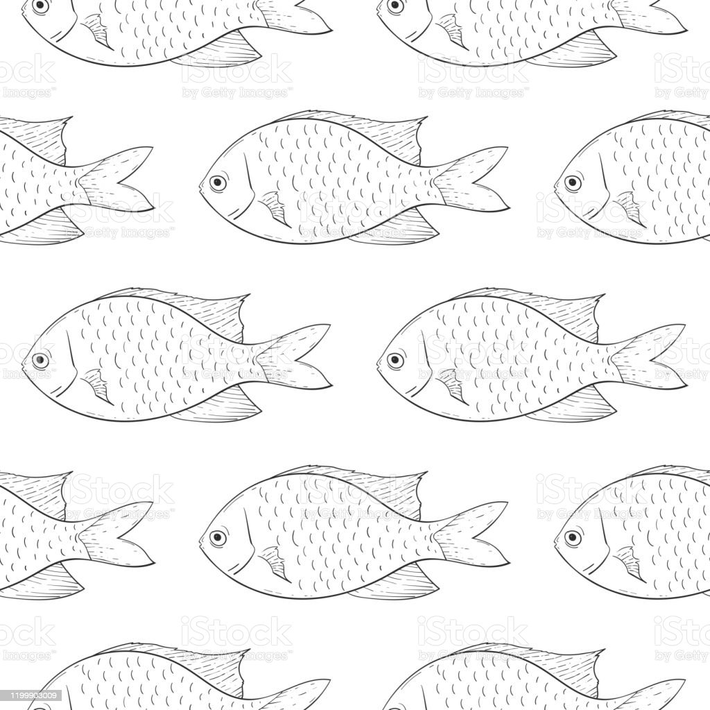 Detail Outline Gambar Ikan Nomer 47