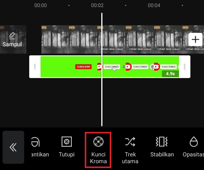 Detail Overlay Hijau Polos Nomer 19