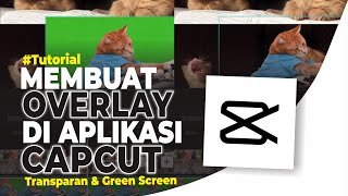 Detail Overlay Hijau Polos Nomer 25