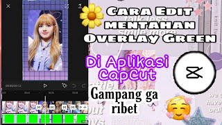 Detail Overlay Hijau Polos Nomer 49
